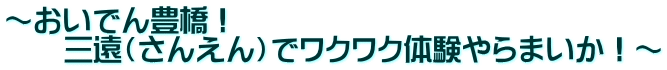 ～おいでん豊橋！ 　　三遠（さんえん）でワクワク体験やらまいか！～